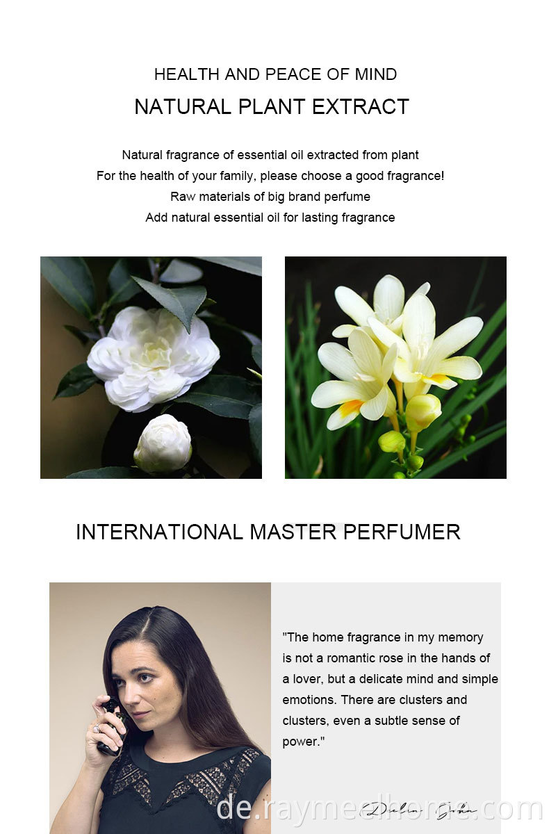 Luxus 500 ml Düfte Luftfrischer Starker Duft Custom Lufterfrischer Spray